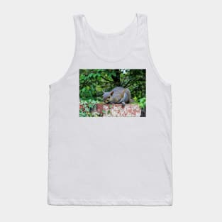 Ready To Pounce Tank Top